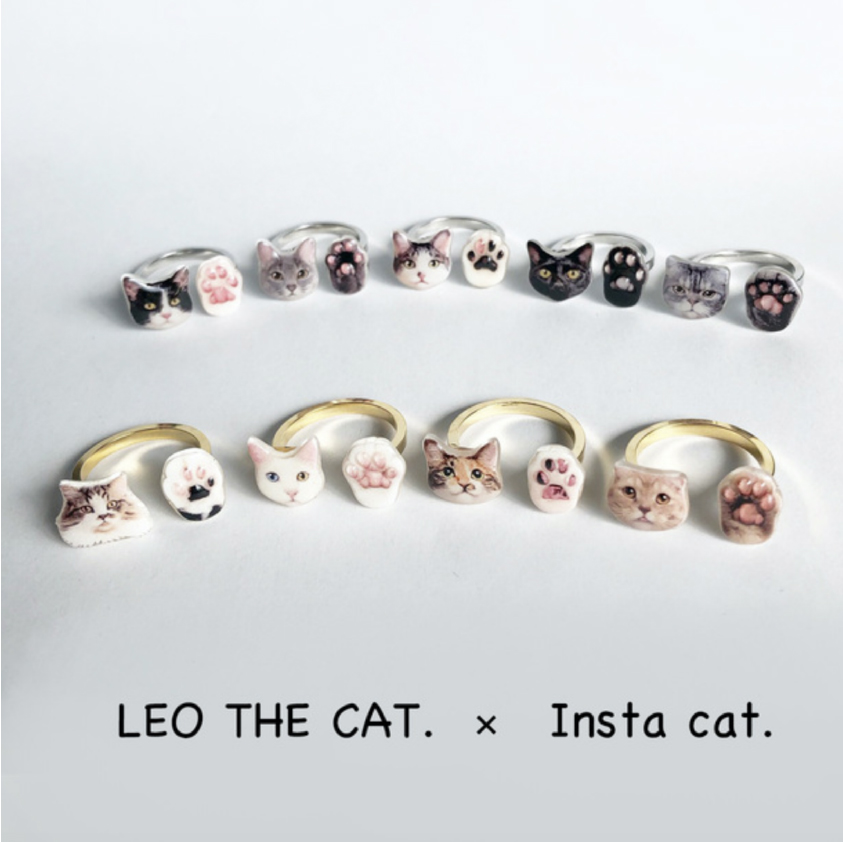 LEO THE CAT
