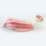 オレンジ×レモン