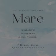 mare_hp_edn